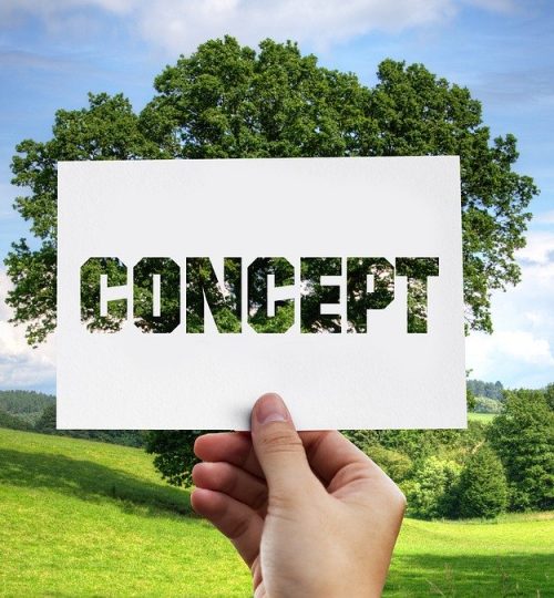 concept, nature, tree