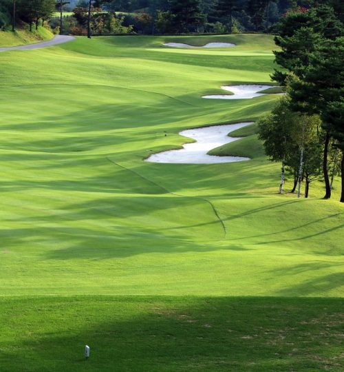 golf, green, field
